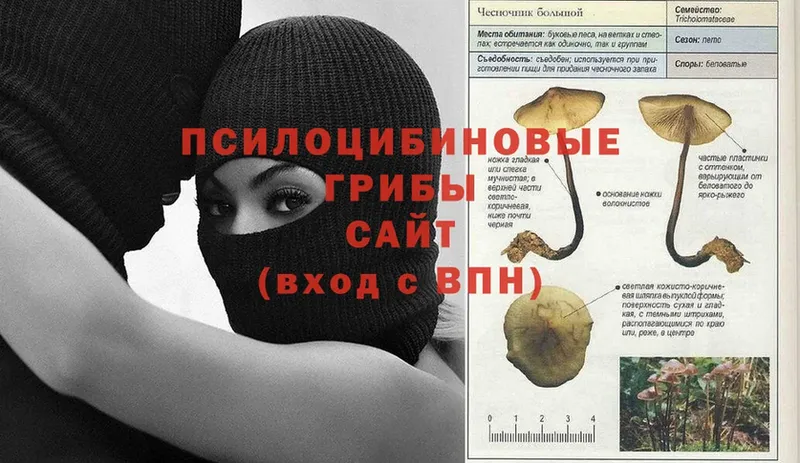 Псилоцибиновые грибы MAGIC MUSHROOMS  Кондопога 